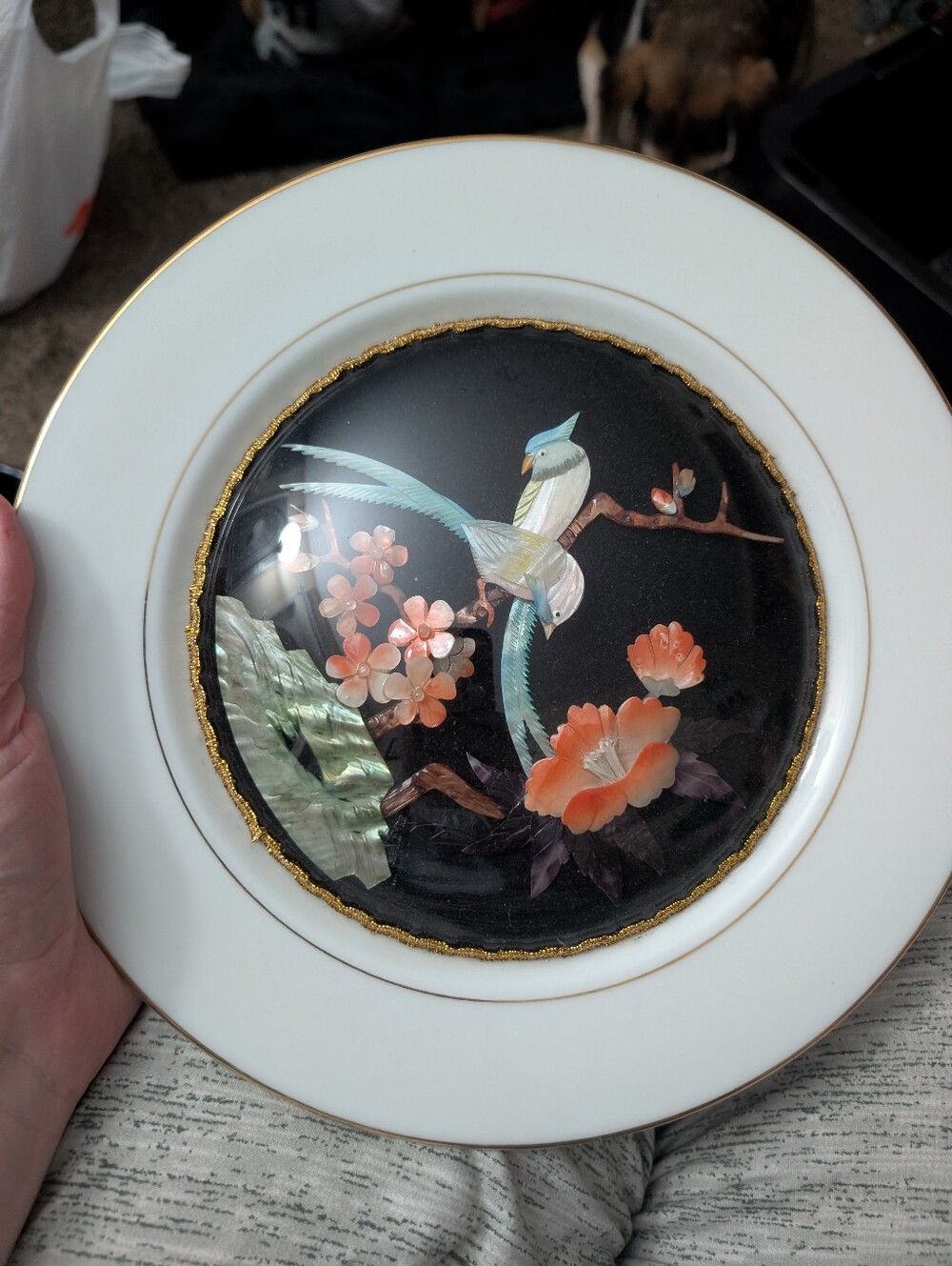 Decorative Dish Convex Glass With Shell Art